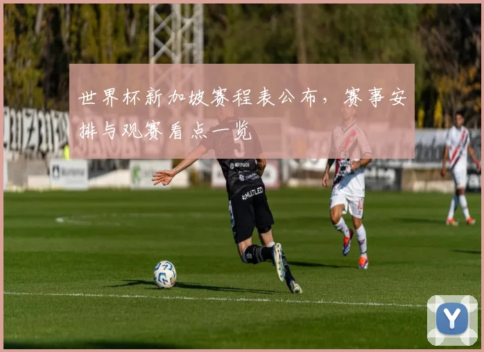 世界杯新加坡赛程表公布，赛事安排与观赛看点一览