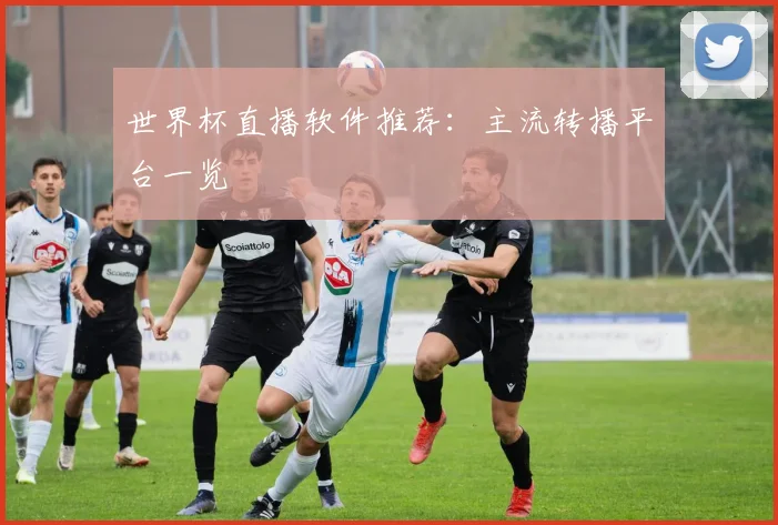 世界杯直播软件推荐:主流转播平台一览