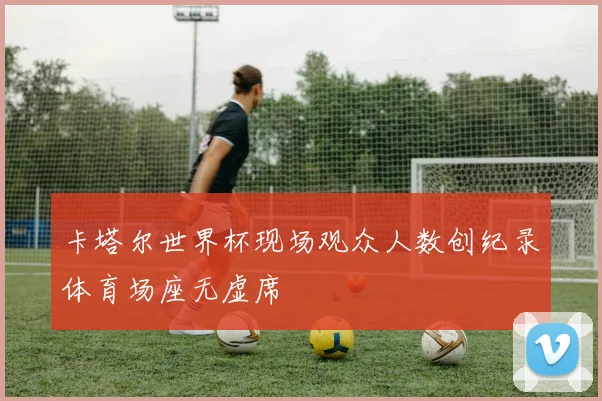 卡塔尔世界杯现场观众人数创纪录体育场座无虚席